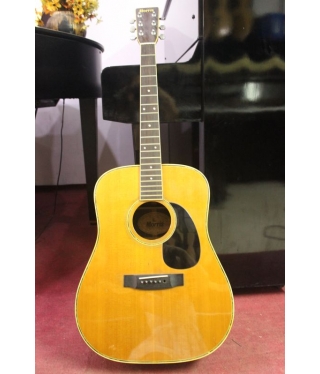 Đàn guitar Morris W-25